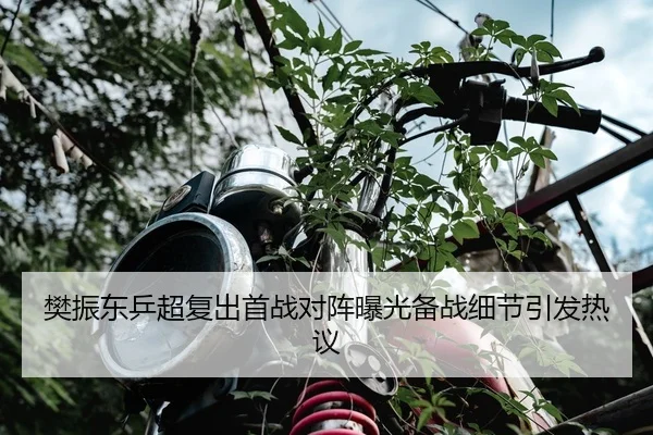 樊振东乒超复出首战对阵曝光备战细节引发热议
